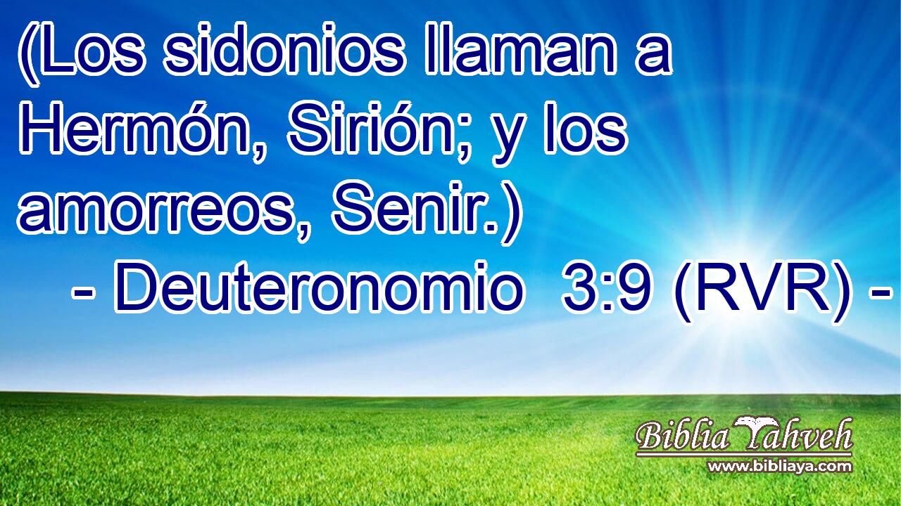 (Los sidonios llaman a Hermón, Sirión; y los amorreos, Senir.)