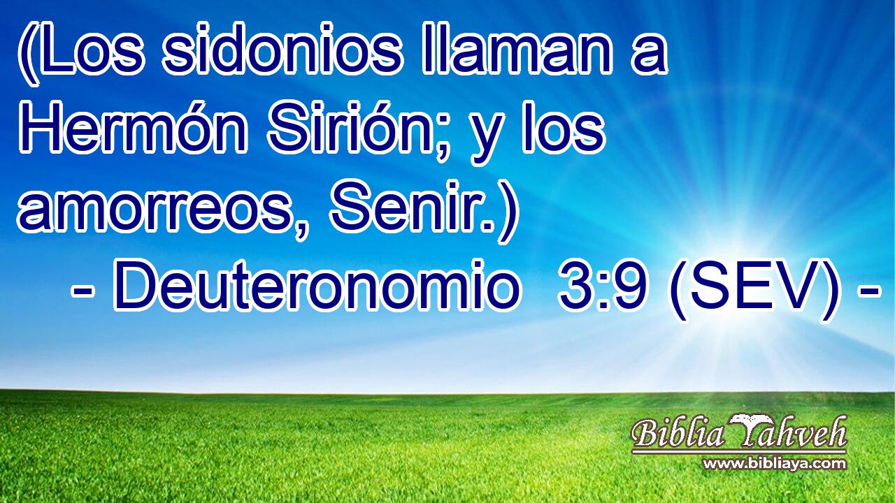 (Los sidonios llaman a Hermón Sirión; y los amorreos, Senir.)