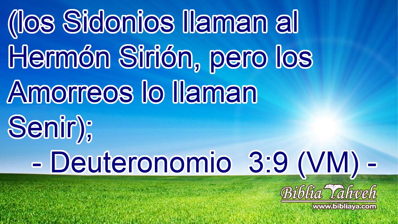  (los Sidonios llaman al Hermón Sirión, pero los Amorreos lo llaman Senir); 
