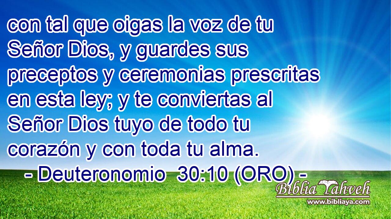  con tal que oigas la voz de tu Señor Dios, y guardes sus preceptos y ceremonias prescritas en esta ley; y te conviertas al Señor Dios tuyo de todo tu corazón y con toda tu alma. 