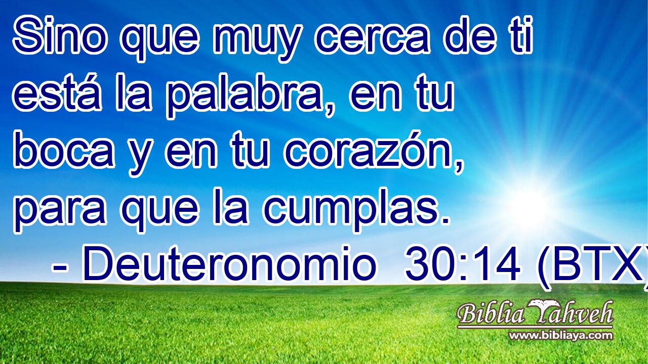 Sino que muy cerca de ti está la palabra, en tu boca y en tu corazón, para que la cumplas.