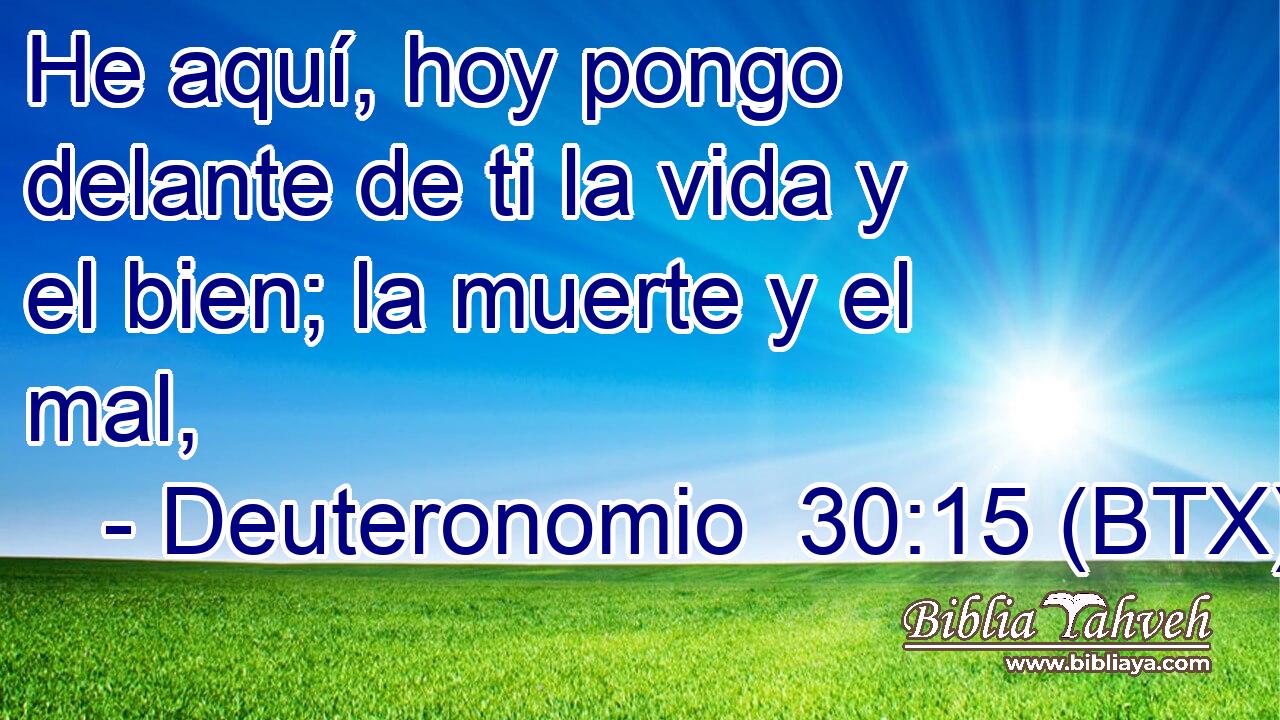 He aquí, hoy pongo delante de ti la vida y el bien; la muerte y el mal,