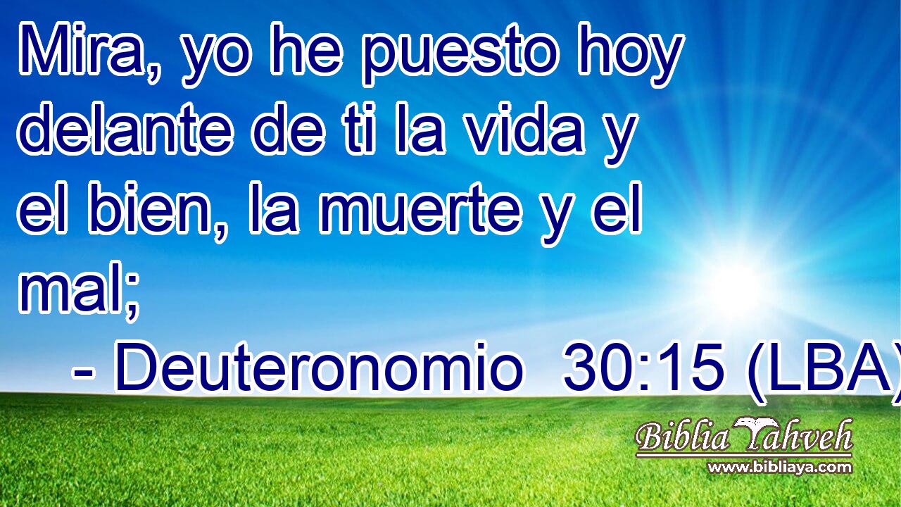 Mira, yo he puesto hoy delante de ti la vida y el bien, la muerte y el mal;
