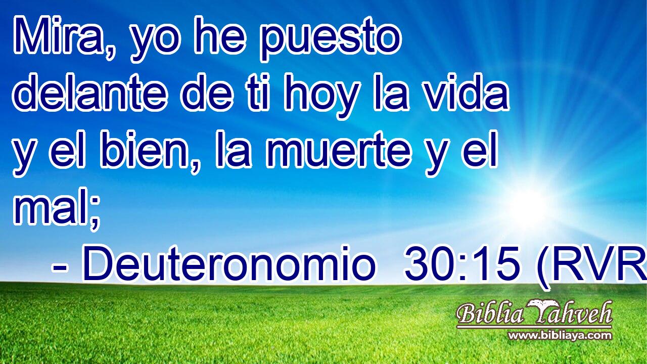 Mira, yo he puesto delante de ti hoy la vida y el bien, la muerte y el mal;