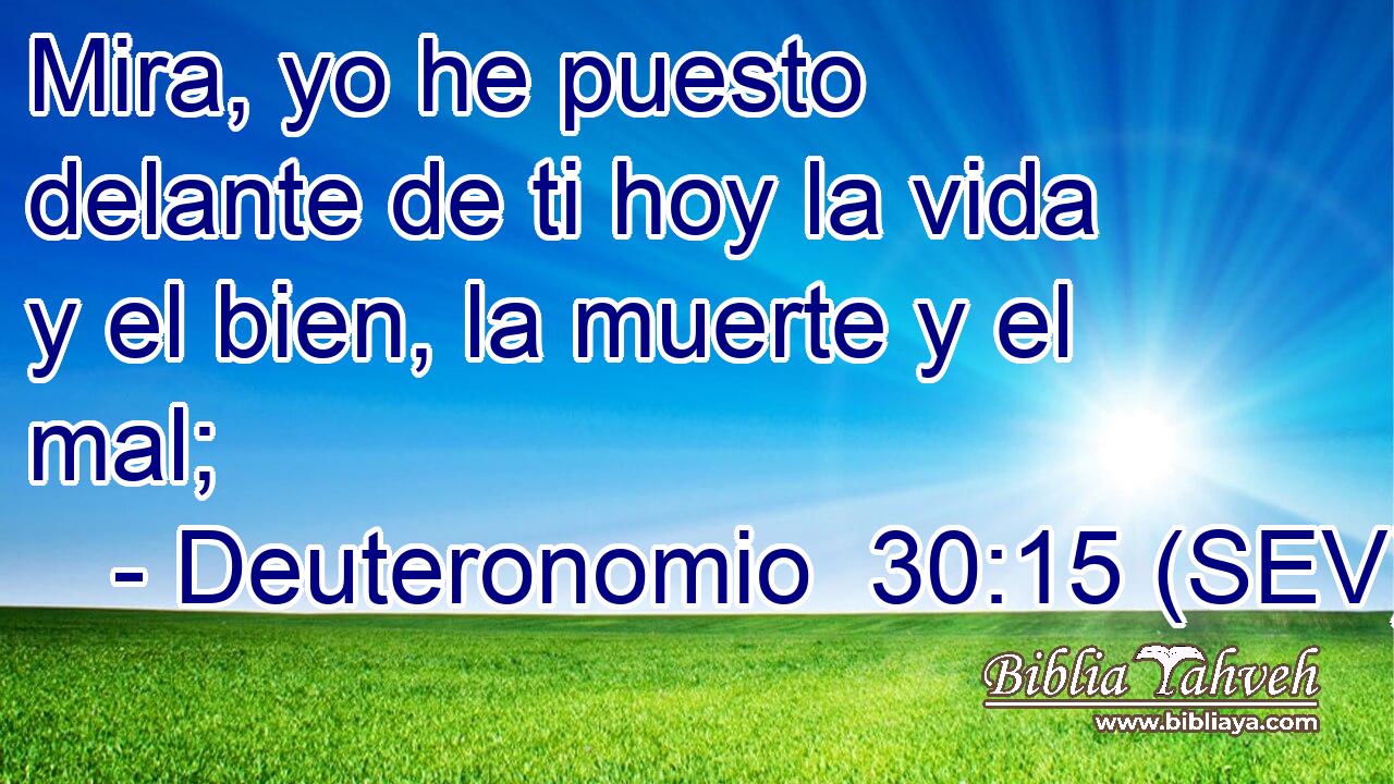 Mira, yo he puesto delante de ti hoy la vida y el bien, la muerte y el mal;