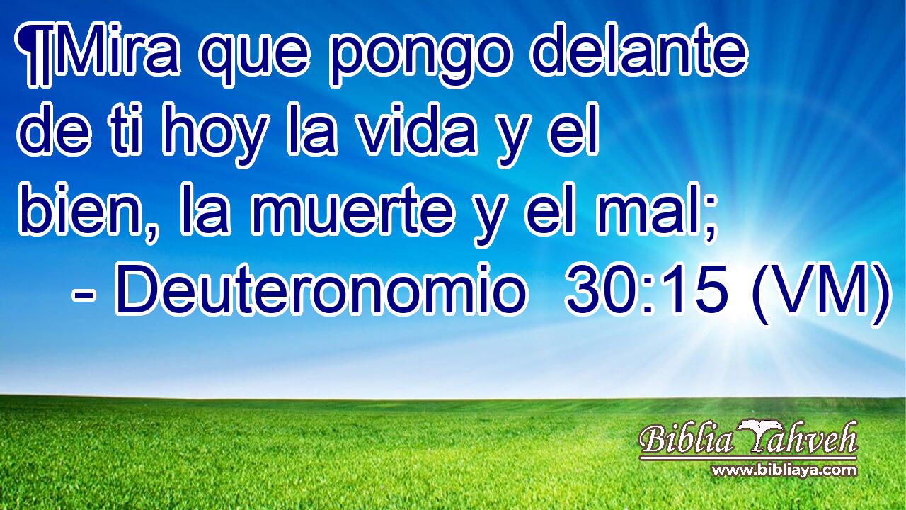  ¶Mira que pongo delante de ti hoy la vida y el bien, la muerte y el mal; 