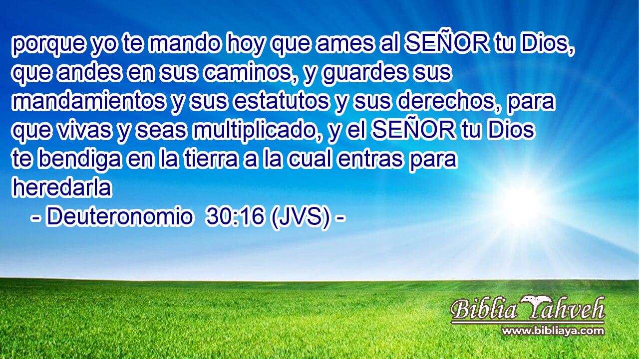 porque yo te mando hoy que ames al SEÑOR tu Dios, que andes en sus caminos, y guardes sus mandamientos y sus estatutos y sus derechos, para que vivas y seas multiplicado, y el SEÑOR tu Dios te bendiga en la tierra a la cual entras para heredarla