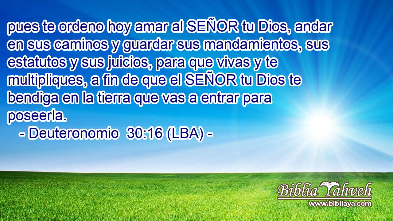 pues te ordeno hoy amar al SEÑOR tu Dios, andar en sus caminos y guardar sus mandamientos, sus estatutos y sus juicios, para que vivas y te multipliques, a fin de que el SEÑOR tu Dios te bendiga en la tierra que vas a entrar para poseerla.