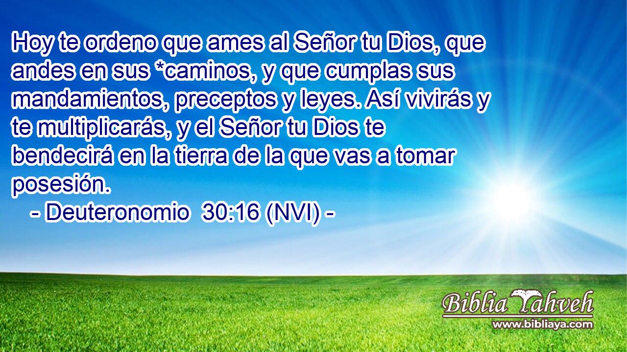  Hoy te ordeno que ames al Señor tu Dios, que andes en sus *caminos, y que cumplas sus mandamientos, preceptos y leyes. Así vivirás y te multiplicarás, y el Señor tu Dios te bendecirá en la tierra de la que vas a tomar posesión. 