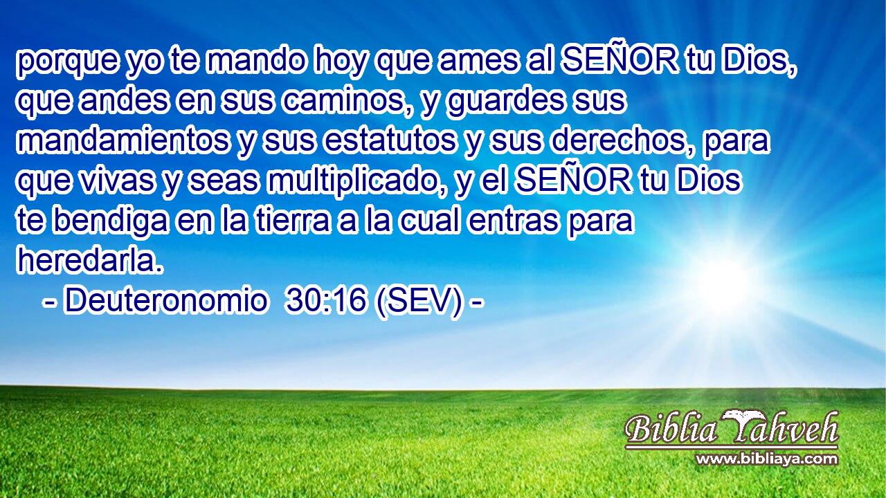 porque yo te mando hoy que ames al SEÑOR tu Dios, que andes en sus caminos, y guardes sus mandamientos y sus estatutos y sus derechos, para que vivas y seas multiplicado, y el SEÑOR tu Dios te bendiga en la tierra a la cual entras para heredarla.