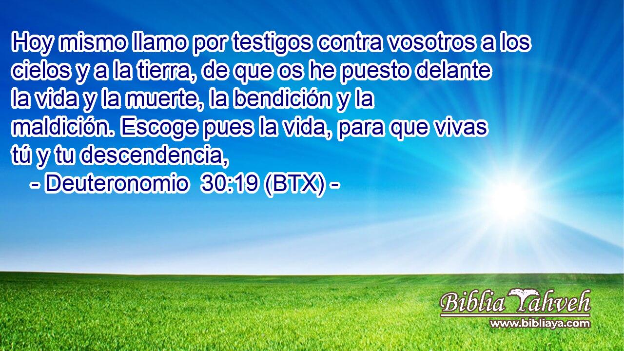 Hoy mismo llamo por testigos contra vosotros a los cielos y a la tierra, de que os he puesto delante la vida y la muerte, la bendición y la maldición. Escoge pues la vida, para que vivas tú y tu descendencia,