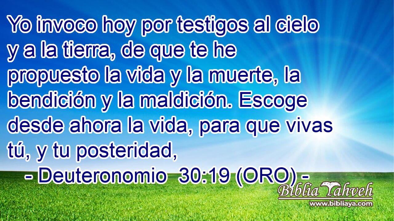  Yo invoco hoy por testigos al cielo y a la tierra, de que te he propuesto la vida y la muerte, la bendición y la maldición. Escoge desde ahora la vida, para que vivas tú, y tu posteridad, 