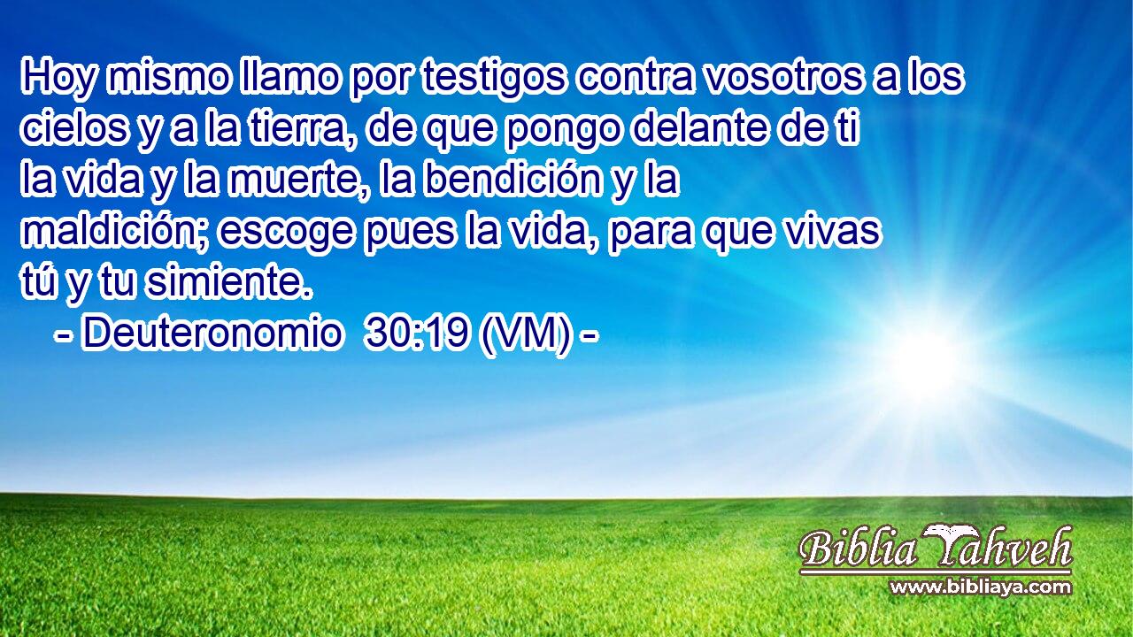  Hoy mismo llamo por testigos contra vosotros a los cielos y a la tierra, de que pongo delante de ti la vida y la muerte, la bendición y la maldición; escoge pues la vida, para que vivas tú y tu simiente. 