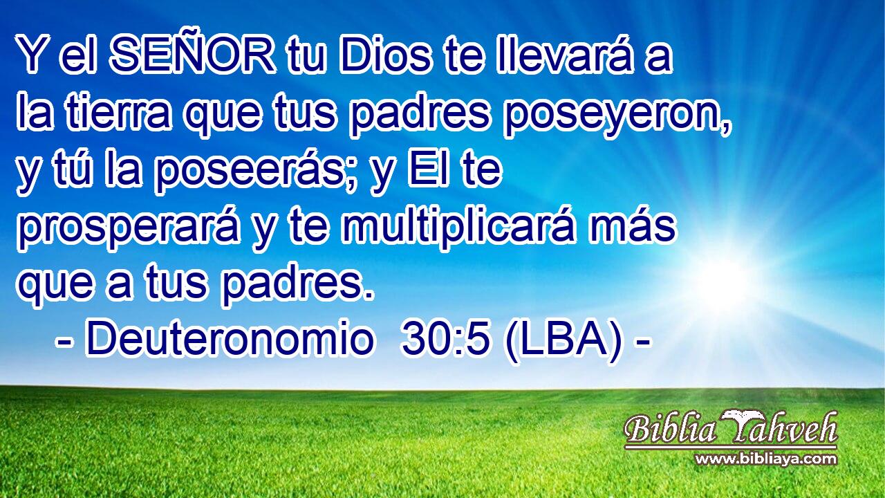 Y el SEÑOR tu Dios te llevará a la tierra que tus padres poseyeron, y tú la poseerás; y El te prosperará y te multiplicará más que a tus padres.