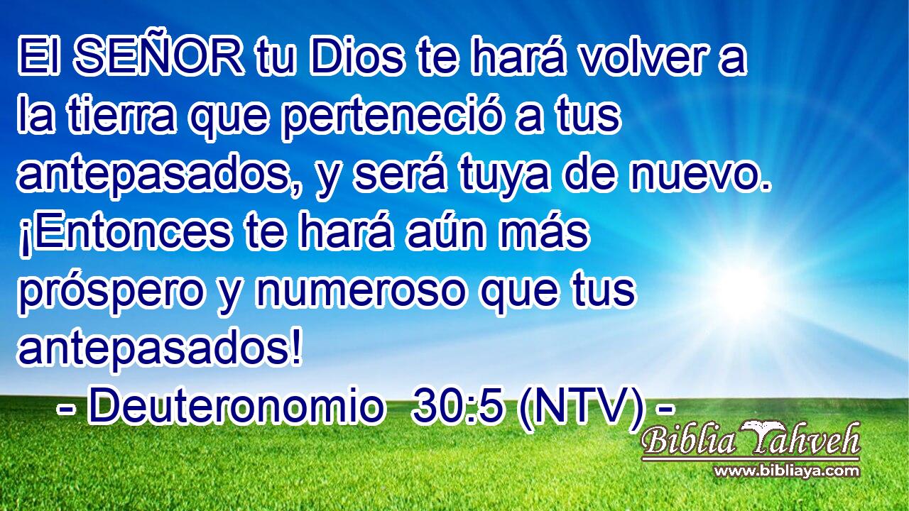 El SEÑOR tu Dios te hará volver a la tierra que perteneció a tus antepasados, y será tuya de nuevo. ¡Entonces te hará aún más próspero y numeroso que tus antepasados!