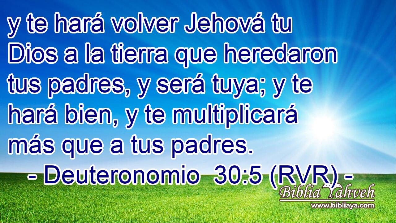 y te hará volver Jehová tu Dios a la tierra que heredaron tus padres, y será tuya; y te hará bien, y te multiplicará más que a tus padres.