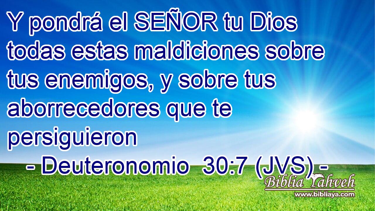 Y pondrá el SEÑOR tu Dios todas estas maldiciones sobre tus enemigos, y sobre tus aborrecedores que te persiguieron