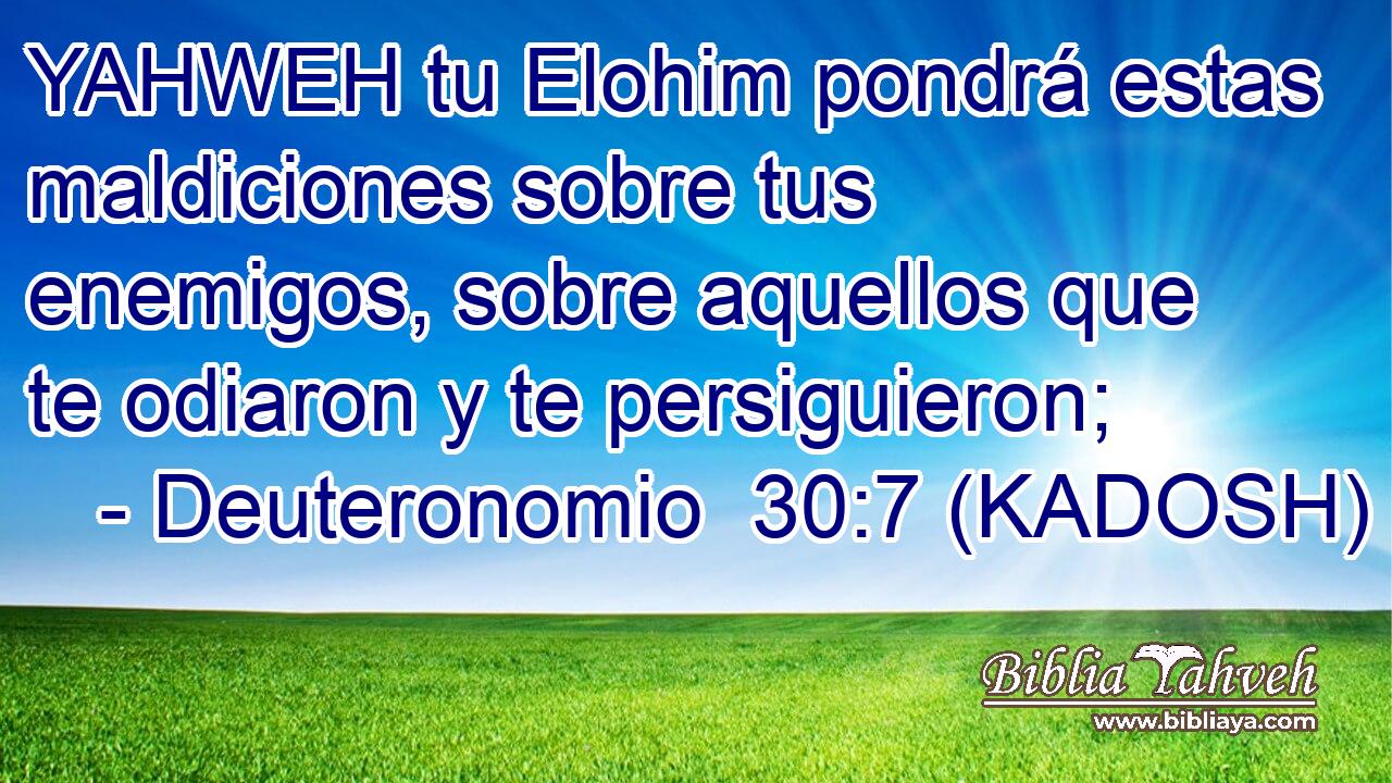 YAHWEH tu Elohim pondrá estas maldiciones sobre tus enemigos, sobre aquellos que te odiaron y te persiguieron; 