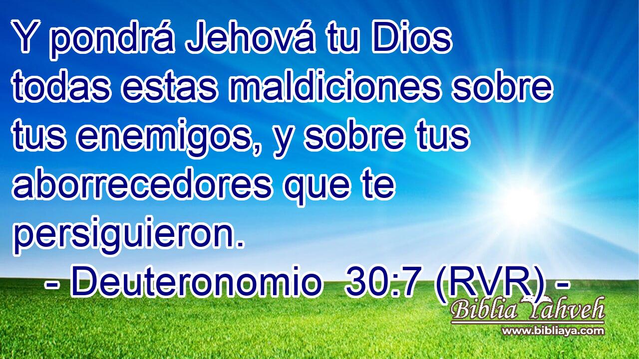 Y pondrá Jehová tu Dios todas estas maldiciones sobre tus enemigos, y sobre tus aborrecedores que te persiguieron.