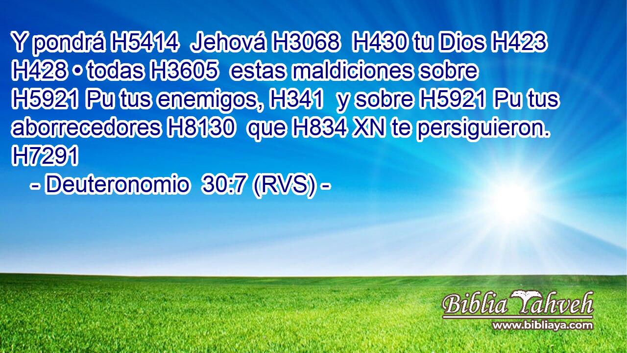 Y pondrá H5414  Jehová H3068  H430 tu Dios H423  H428 • todas H3605  estas maldiciones sobre H5921 Pu tus enemigos, H341  y sobre H5921 Pu tus aborrecedores H8130  que H834 XN te persiguieron. H7291  