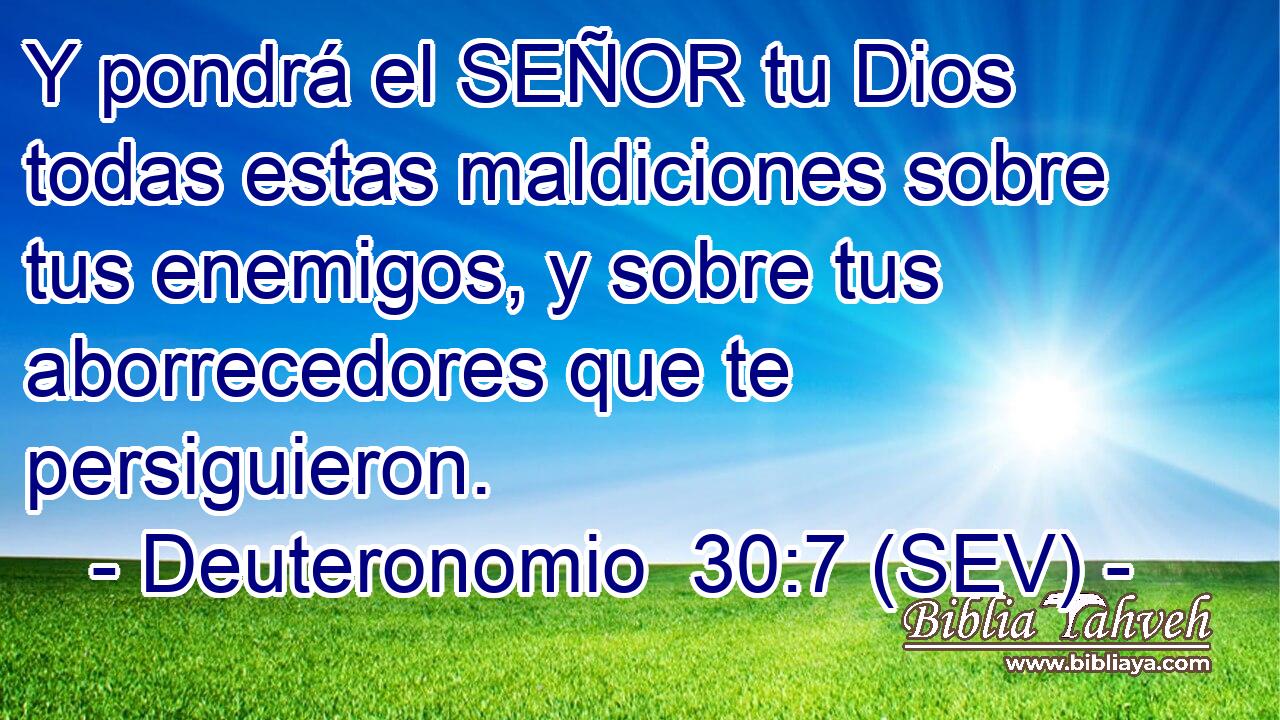Y pondrá el SEÑOR tu Dios todas estas maldiciones sobre tus enemigos, y sobre tus aborrecedores que te persiguieron.