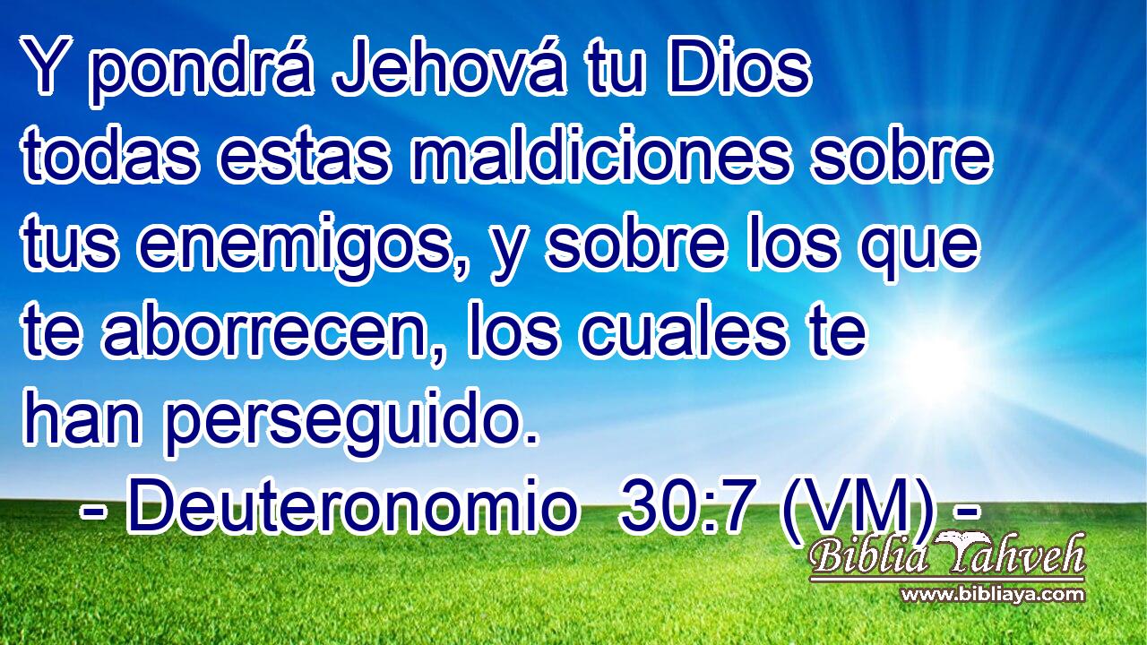  Y pondrá Jehová tu Dios todas estas maldiciones sobre tus enemigos, y sobre los que te aborrecen, los cuales te han perseguido. 