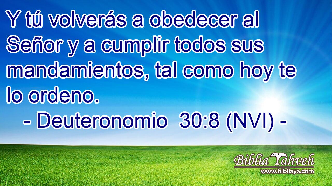  Y tú volverás a obedecer al Señor y a cumplir todos sus mandamientos, tal como hoy te lo ordeno. 