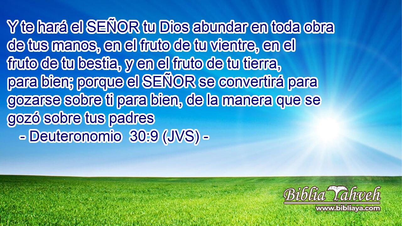 Y te hará el SEÑOR tu Dios abundar en toda obra de tus manos, en el fruto de tu vientre, en el fruto de tu bestia, y en el fruto de tu tierra, para bien; porque el SEÑOR se convertirá para gozarse sobre ti para bien, de la manera que se gozó sobre tus padres