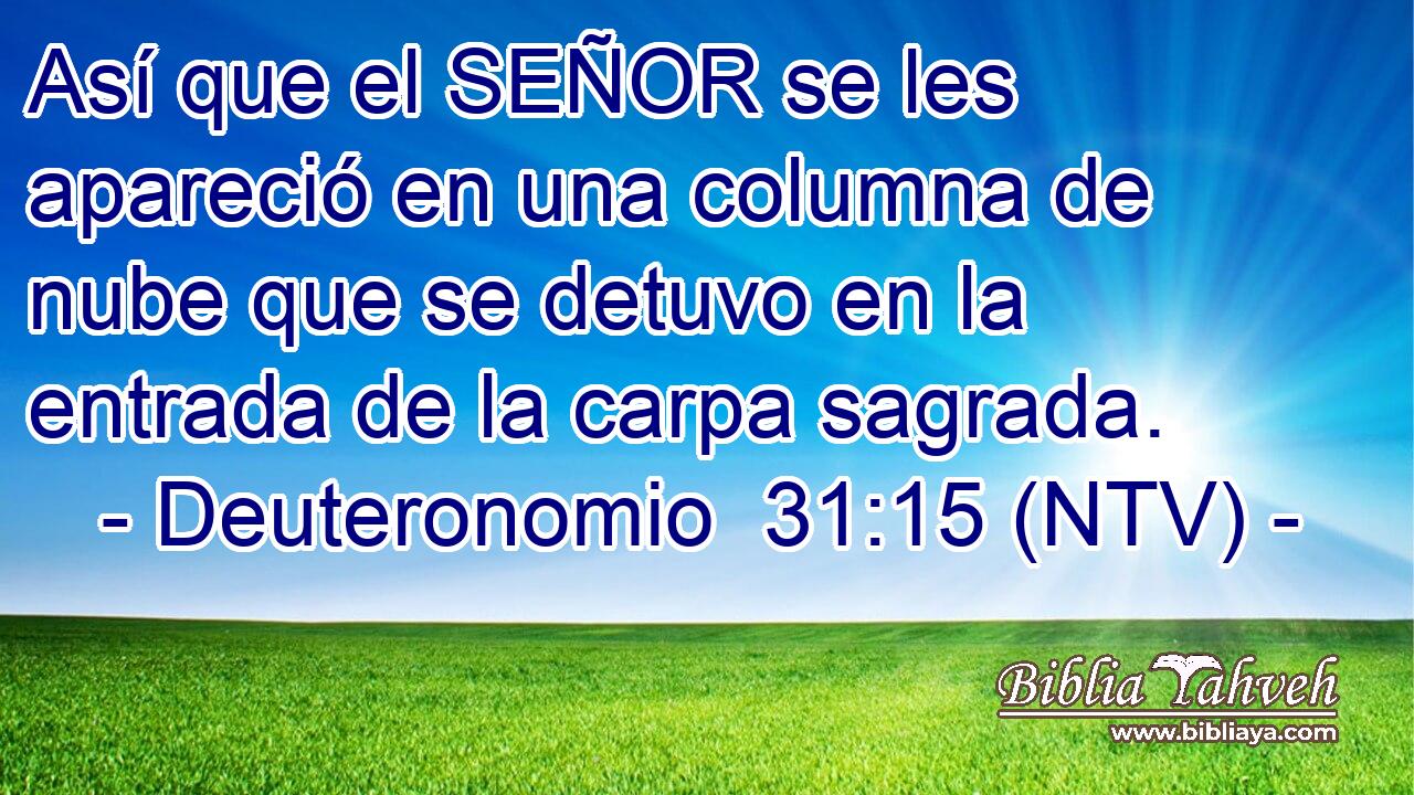 Así que el SEÑOR se les apareció en una columna de nube que se detuvo en la entrada de la carpa sagrada.