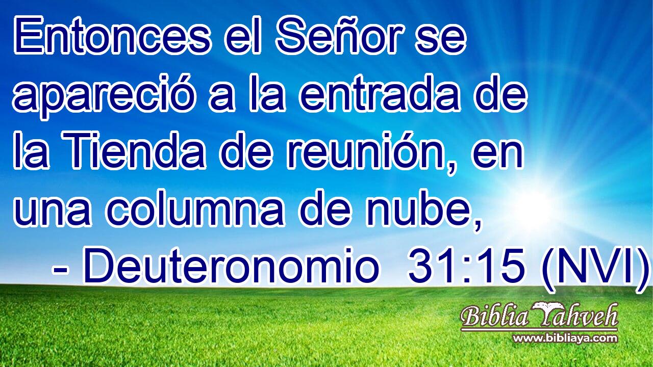  Entonces el Señor se apareció a la entrada de la Tienda de reunión, en una columna de nube, 