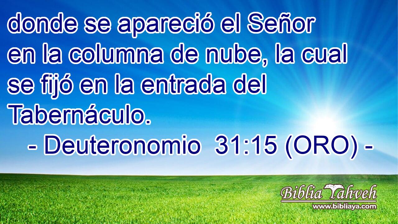  donde se apareció el Señor en la columna de nube, la cual se fijó en la entrada del Tabernáculo. 