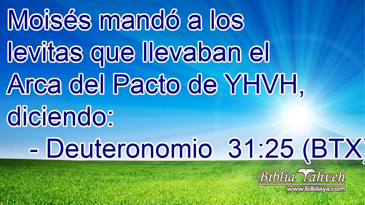 Moisés mandó a los levitas que llevaban el Arca del Pacto de YHVH, diciendo: