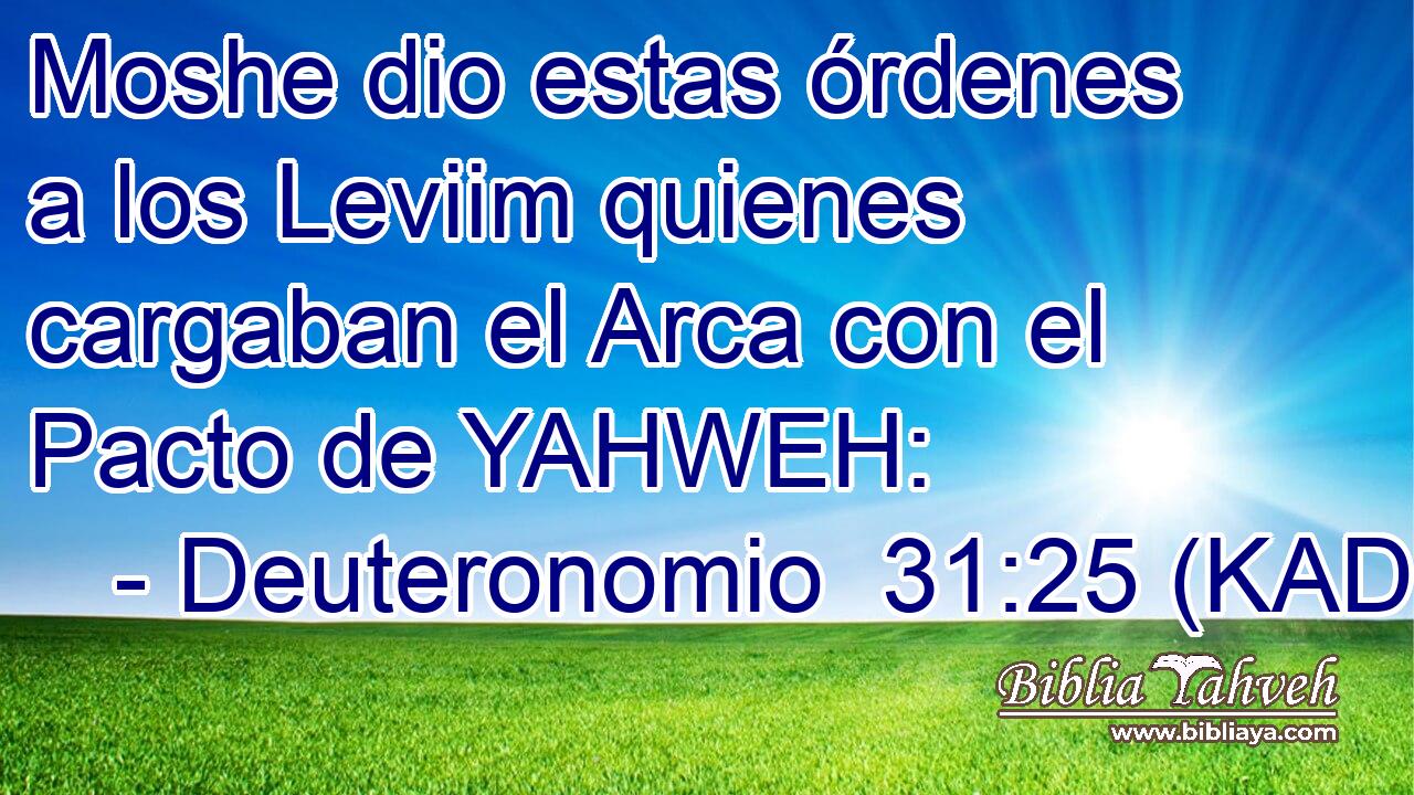  Moshe dio estas órdenes a los Leviim quienes cargaban el Arca con el Pacto de YAHWEH: 