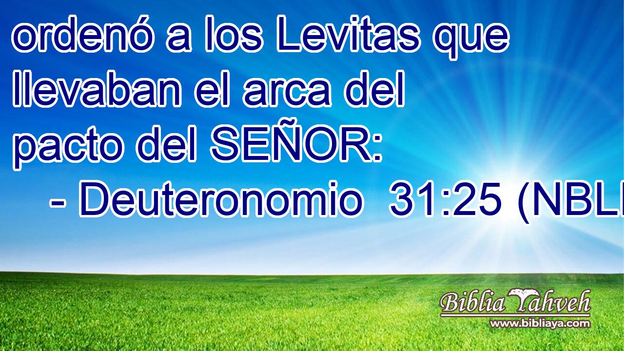  ordenó a los Levitas que llevaban el arca del pacto del SEÑOR: 