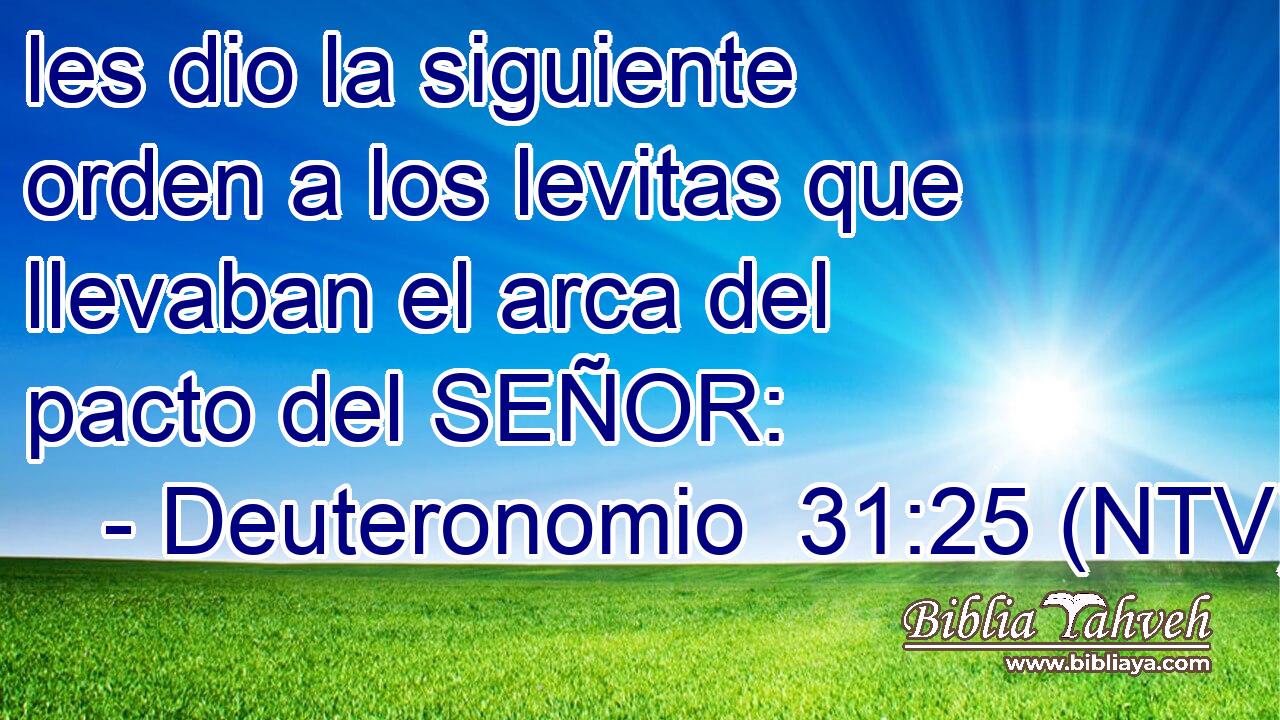 les dio la siguiente orden a los levitas que llevaban el arca del pacto del SEÑOR: