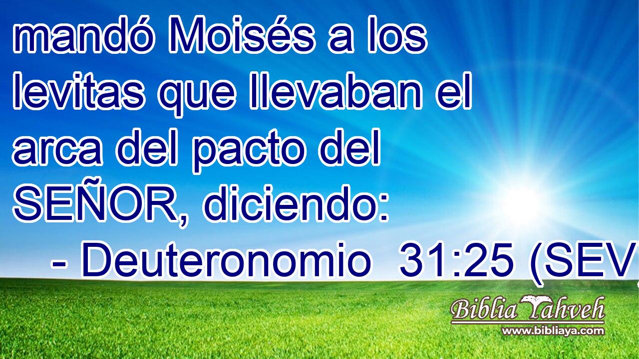mandó Moisés a los levitas que llevaban el arca del pacto del SEÑOR, diciendo: