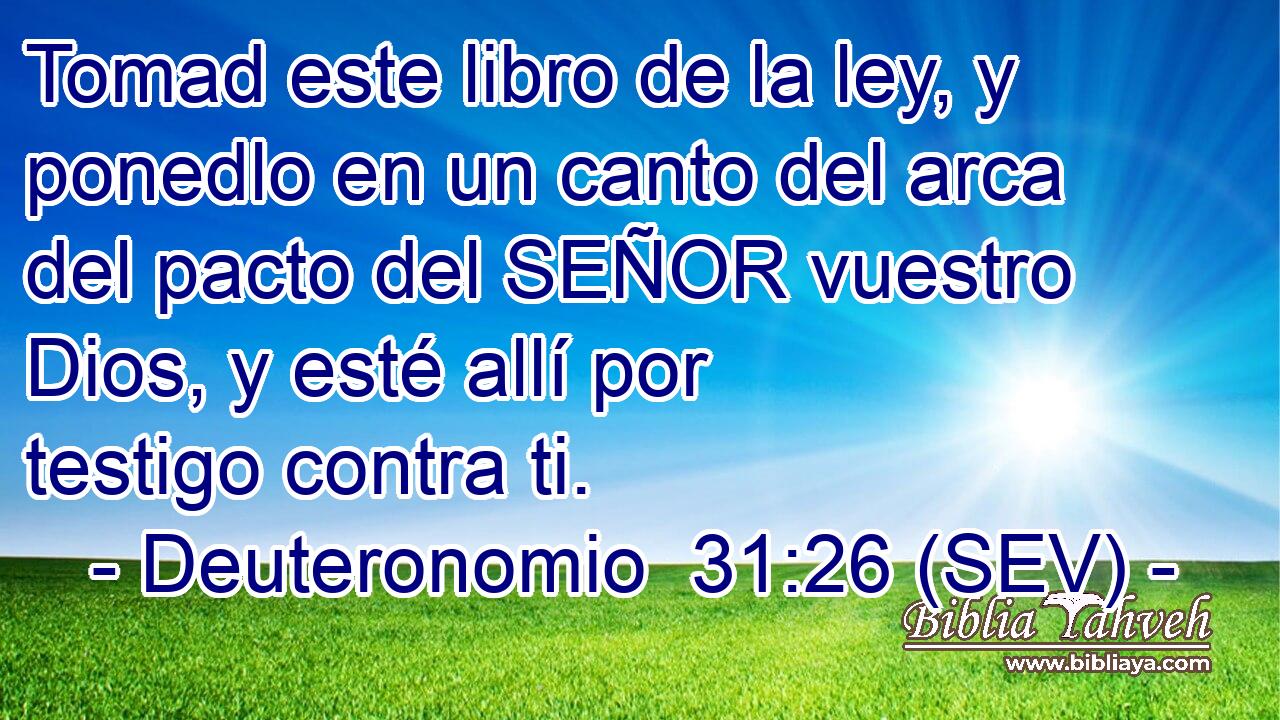 Tomad este libro de la ley, y ponedlo en un canto del arca del pacto del SEÑOR vuestro Dios, y esté allí por testigo contra ti.