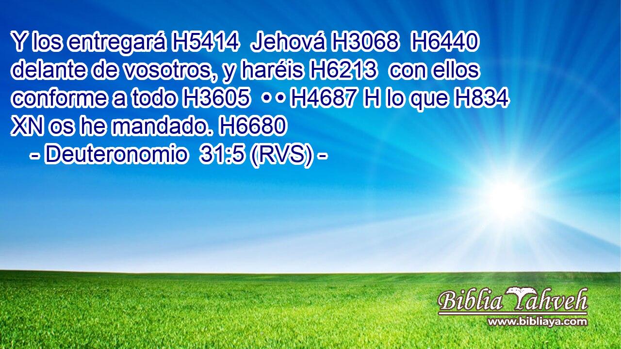 Y los entregará H5414  Jehová H3068  H6440 delante de vosotros, y haréis H6213  con ellos conforme a todo H3605  • • H4687 H lo que H834 XN os he mandado. H6680  
