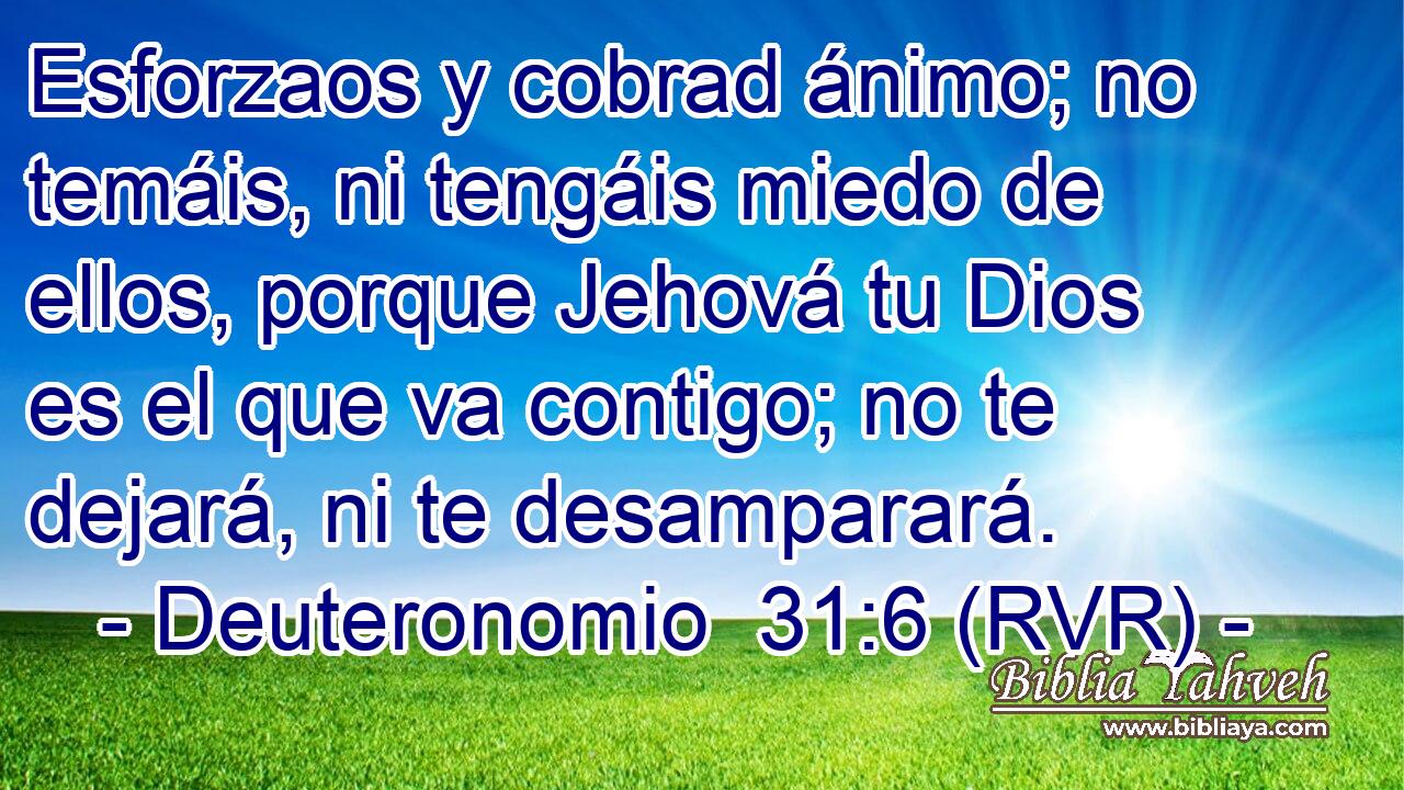 Esforzaos y cobrad ánimo; no temáis, ni tengáis miedo de ellos, porque Jehová tu Dios es el que va contigo; no te dejará, ni te desamparará.