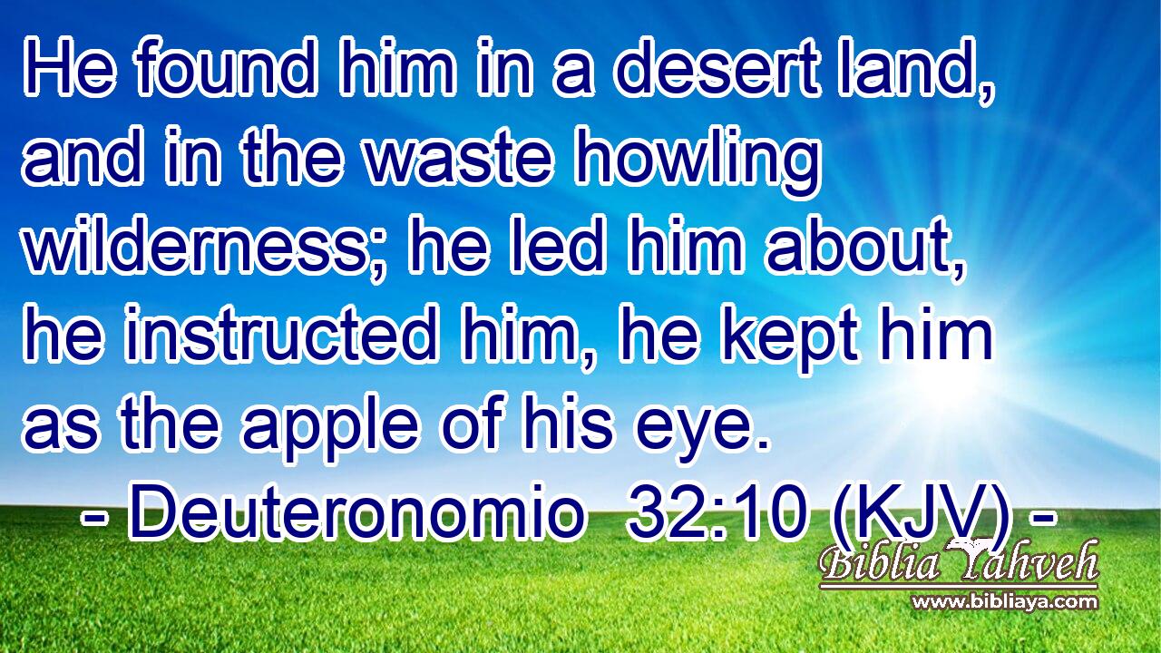 He found him in a desert land, and in the waste howling wilderness; he led him about, he instructed him, he kept him as the apple of his eye.