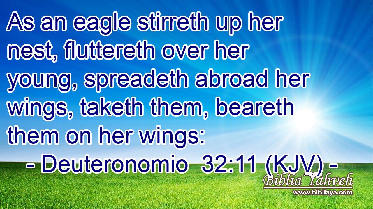 As an eagle stirreth up her nest, fluttereth over her young, spreadeth abroad her wings, taketh them, beareth them on her wings:
