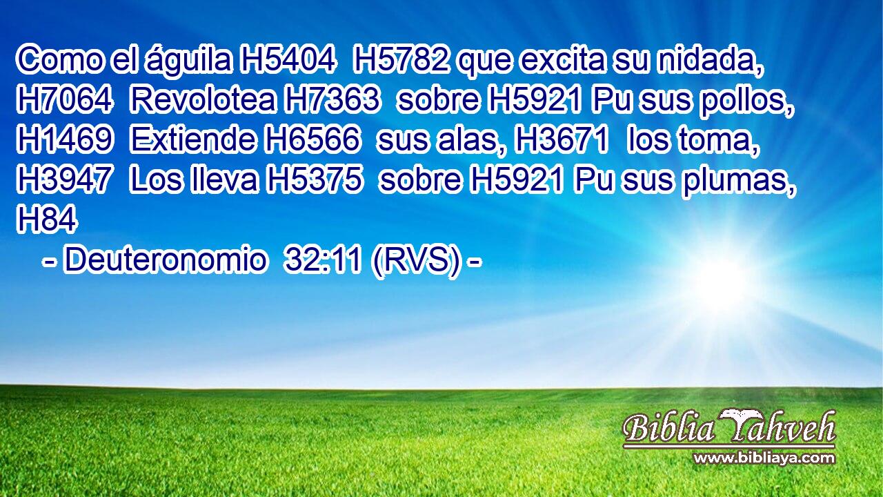 Como el águila H5404  H5782 que excita su nidada, H7064  Revolotea H7363  sobre H5921 Pu sus pollos, H1469  Extiende H6566  sus alas, H3671  los toma, H3947  Los lleva H5375  sobre H5921 Pu sus plumas, H84  