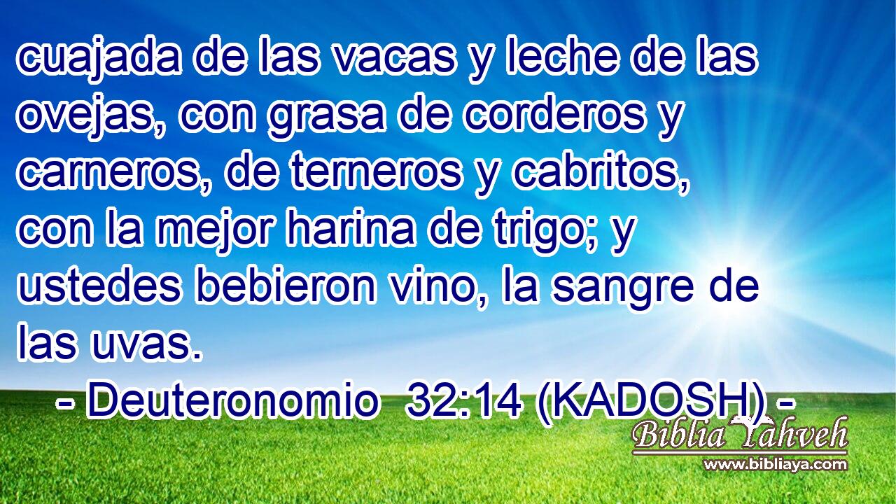  cuajada de las vacas y leche de las ovejas, con grasa de corderos y carneros, de terneros y cabritos, con la mejor harina de trigo; y ustedes bebieron vino, la sangre de las uvas. 