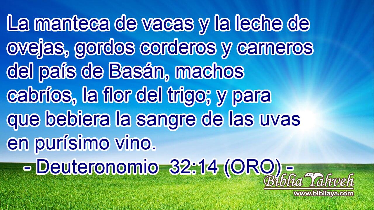  La manteca de vacas y la leche de ovejas, gordos corderos y carneros del país de Basán, machos cabríos, la flor del trigo; y para que bebiera la sangre de las uvas en purísimo vino. 