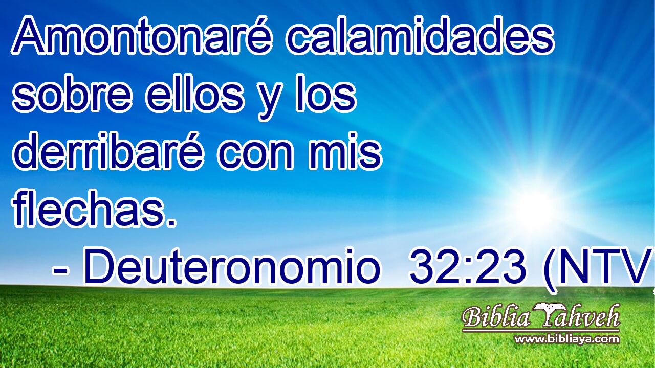 Amontonaré calamidades sobre ellos y los derribaré con mis flechas.