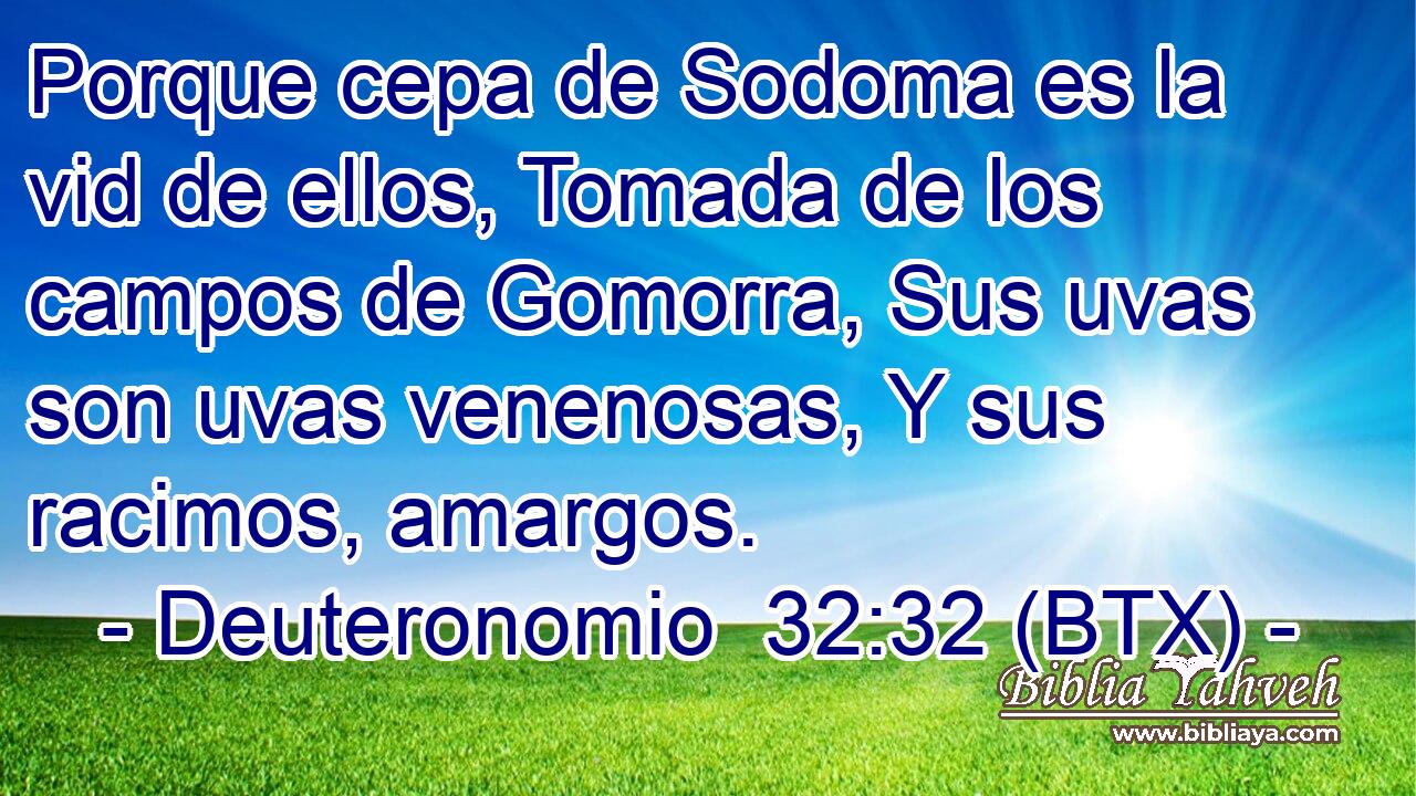 Porque cepa de Sodoma es la vid de ellos, Tomada de los campos de Gomorra, Sus uvas son uvas venenosas, Y sus racimos, amargos.