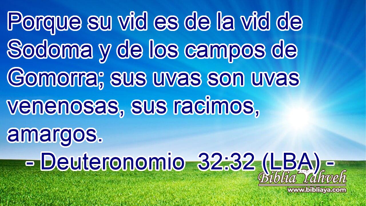 Porque su vid es de la vid de Sodoma y de los campos de Gomorra; sus uvas son uvas venenosas, sus racimos, amargos.