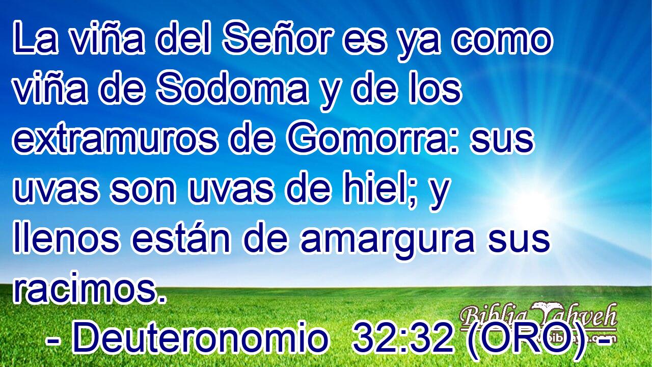  La viña del Señor es ya como viña de Sodoma y de los extramuros de Gomorra: sus uvas son uvas de hiel; y llenos están de amargura sus racimos. 