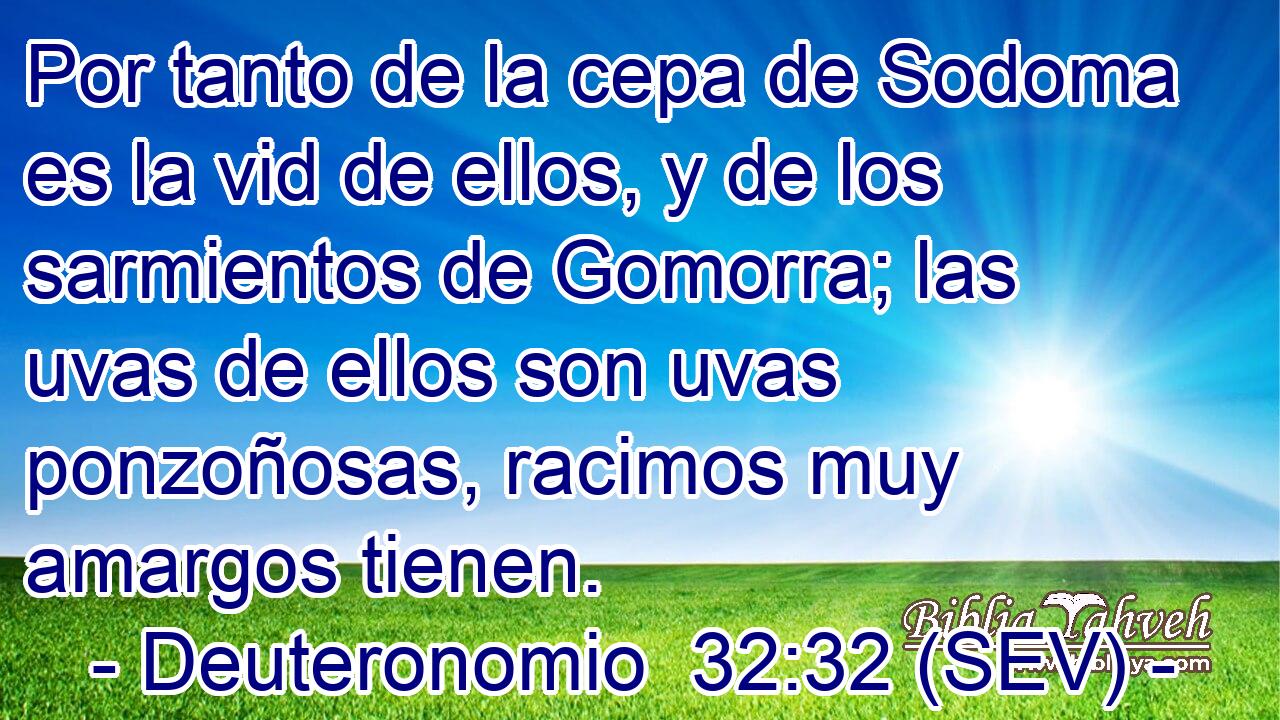 Por tanto de la cepa de Sodoma es la vid de ellos, y de los sarmientos de Gomorra; las uvas de ellos son uvas ponzoñosas, racimos muy amargos tienen.