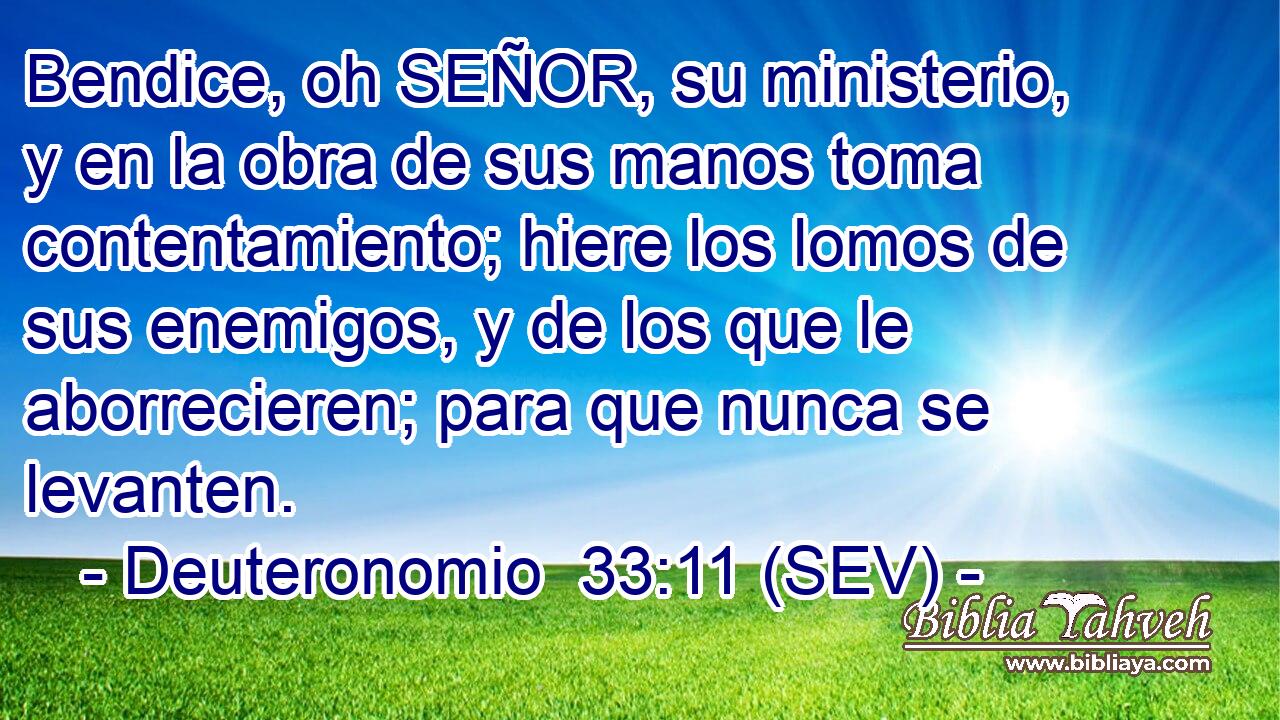 Bendice, oh SEÑOR, su ministerio, y en la obra de sus manos toma contentamiento; hiere los lomos de sus enemigos, y de los que le aborrecieren; para que nunca se levanten.